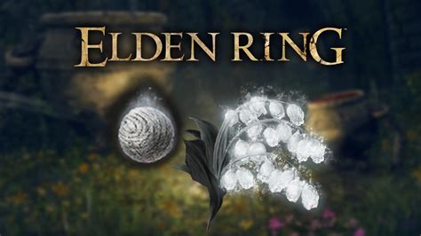 elden ring geistertallilien|Elden Ring: Geistertallilien und Gräbertallilien finden。